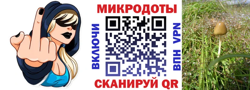 Псилоцибиновые грибы MAGIC MUSHROOMS  Грозный 